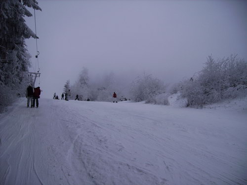 IMG 0031