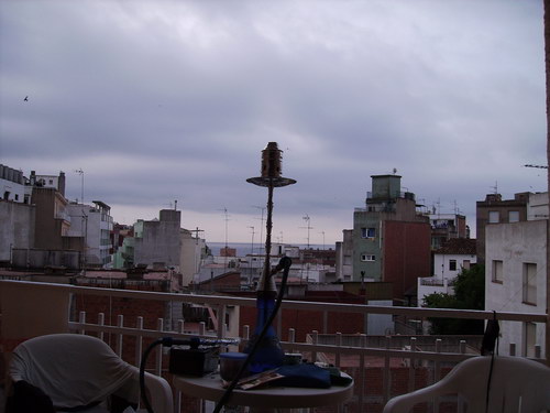 lloret 229